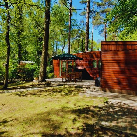Вилла Wooden Nature Chalet - Dennenrhode Doornspijk Экстерьер фото