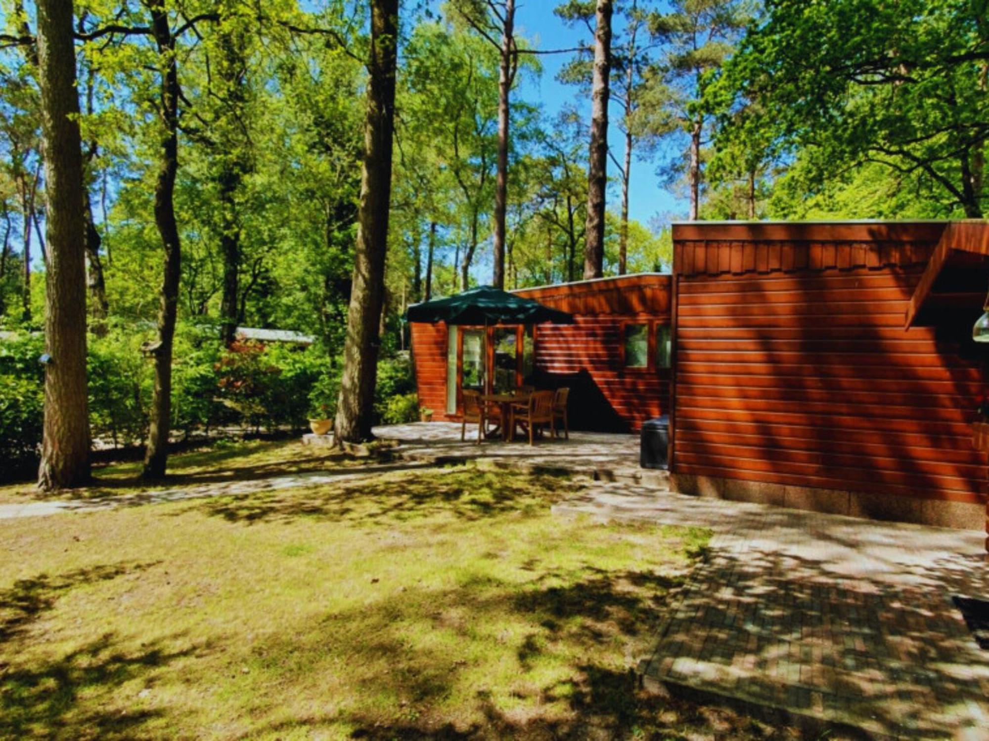 Вилла Wooden Nature Chalet - Dennenrhode Doornspijk Экстерьер фото